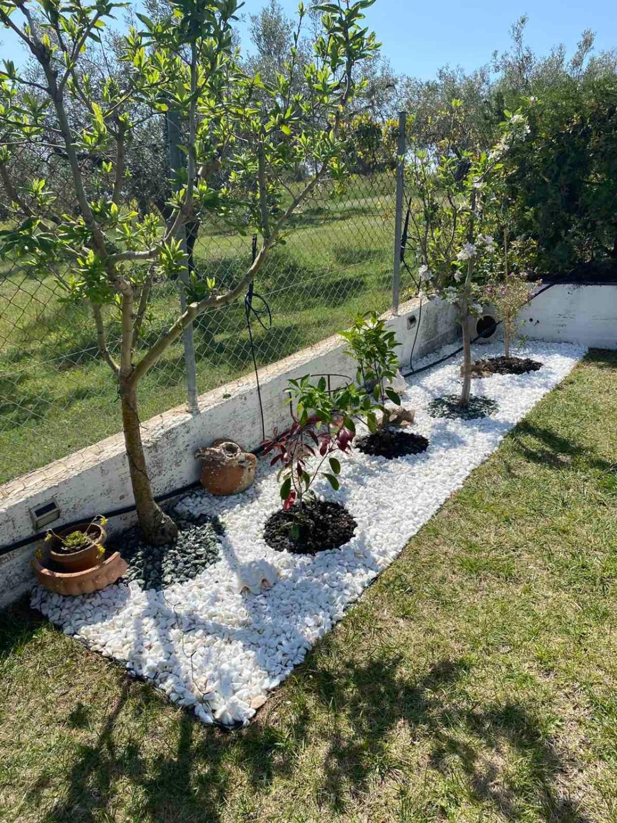 Golden House Apartment Alexandroupoli