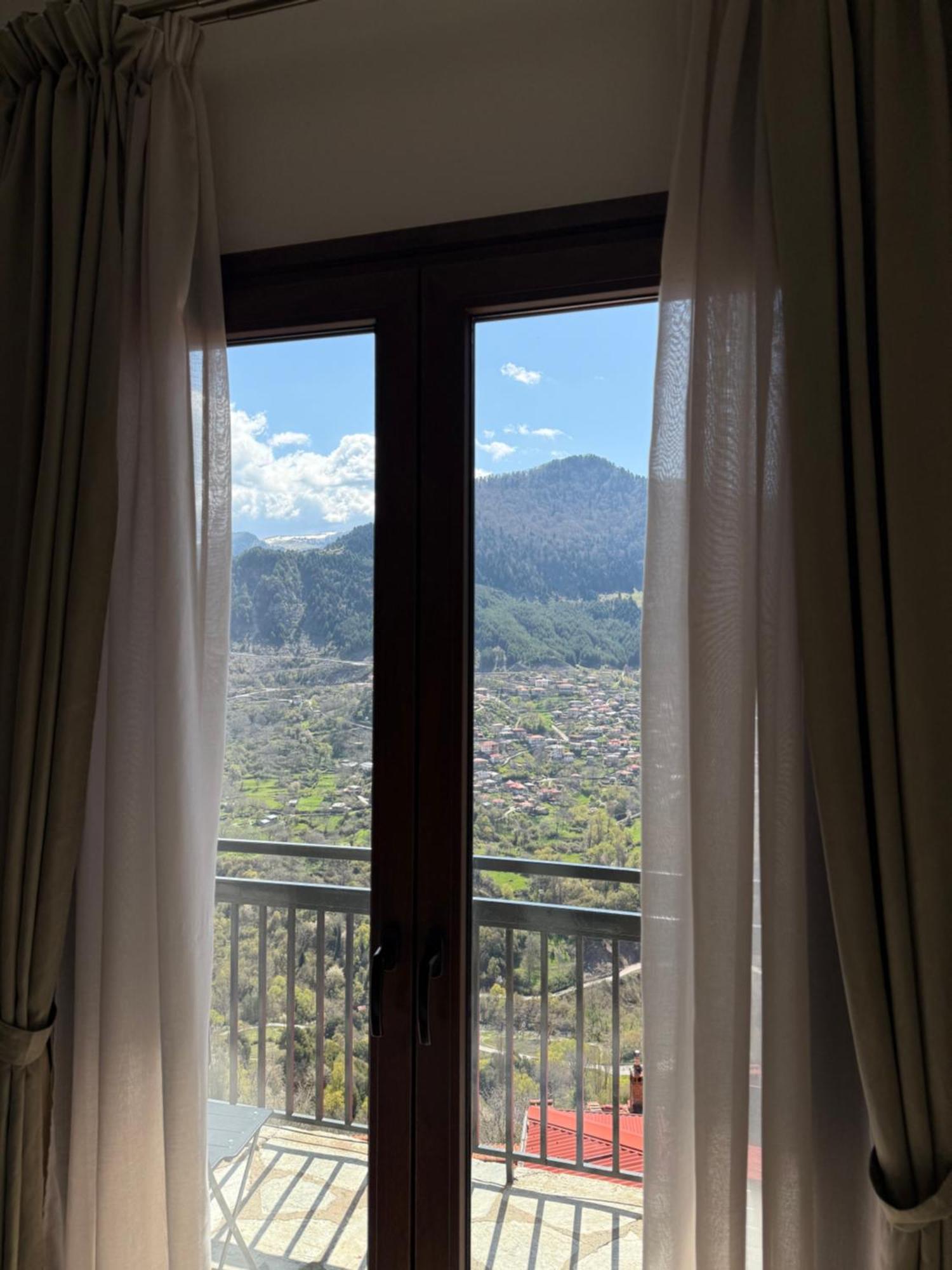 Apartment Avra Metsovou Metsovo