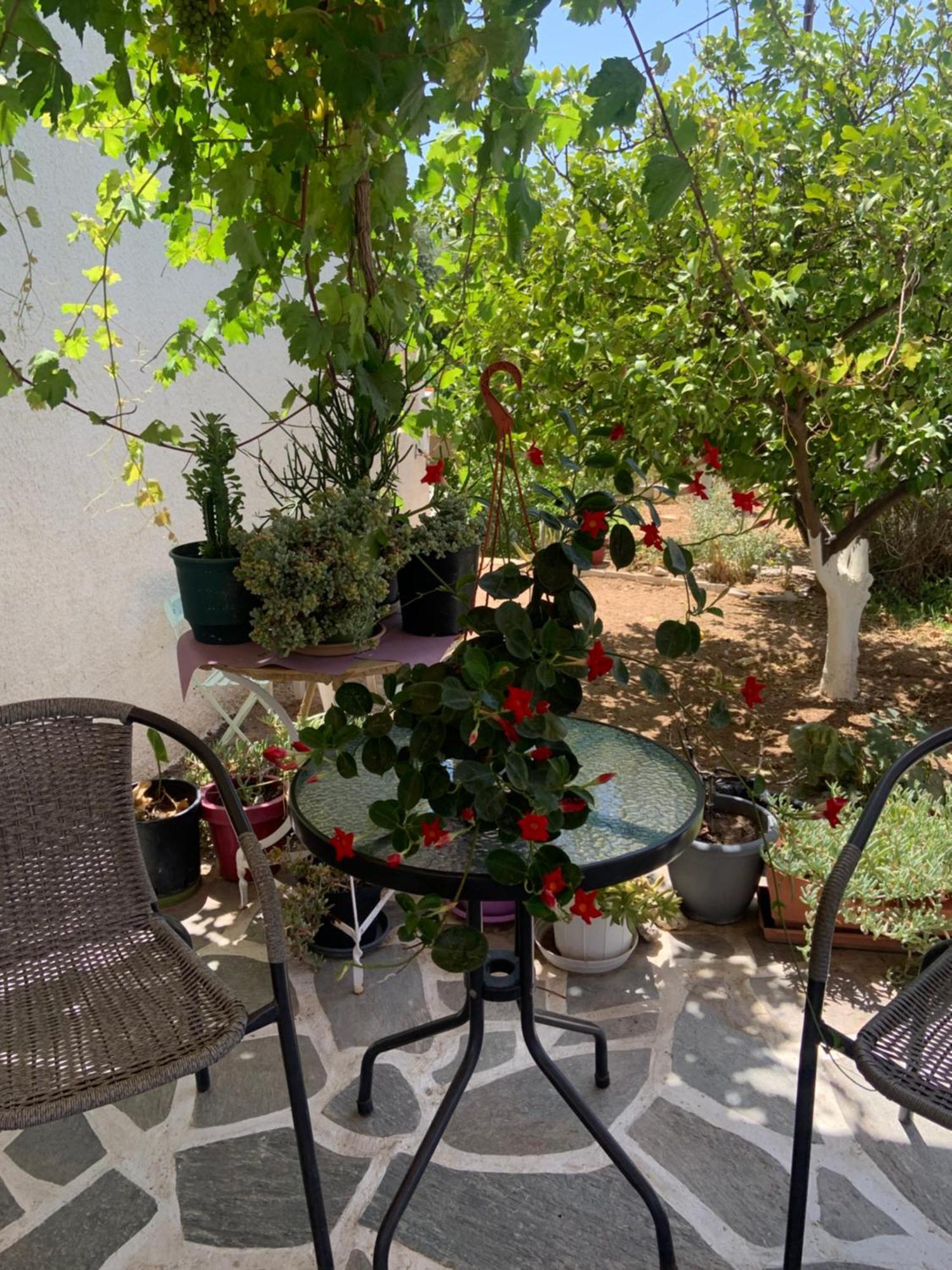 Isidora Hotel Agia Marina (Aegina)