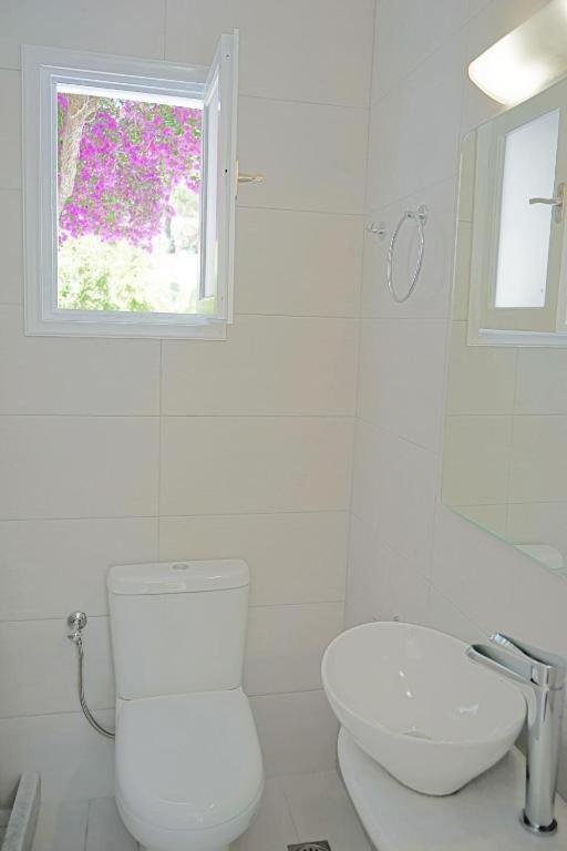 Apartment Klironomos