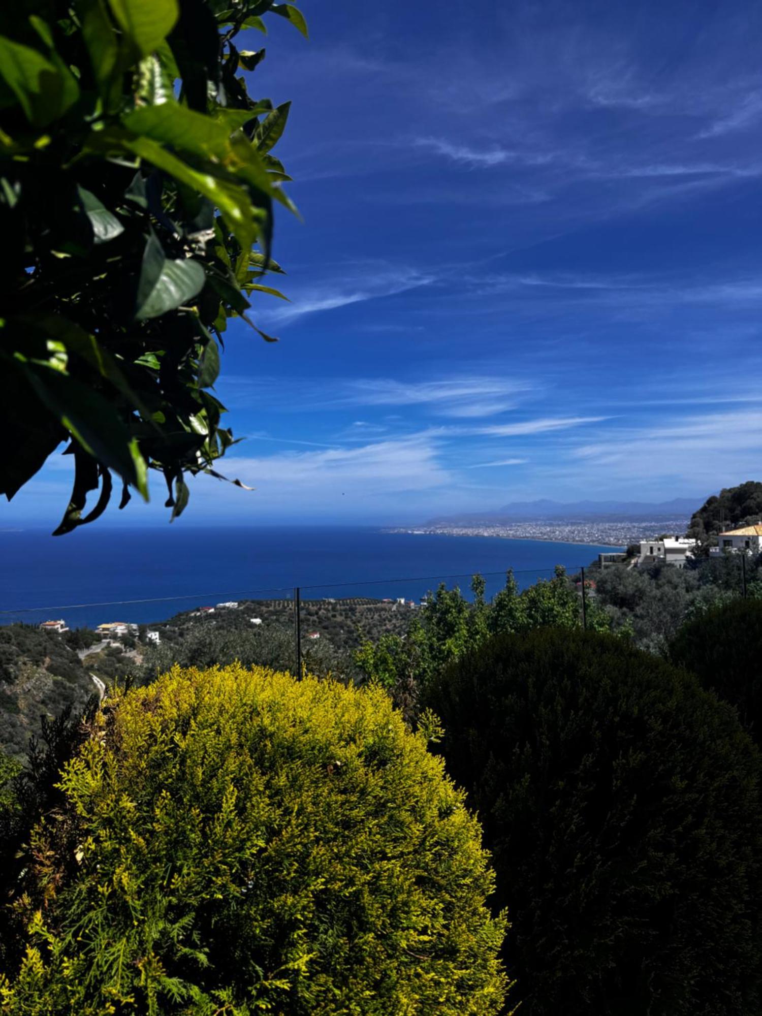 Villa Artemis, Wine Dark Sea