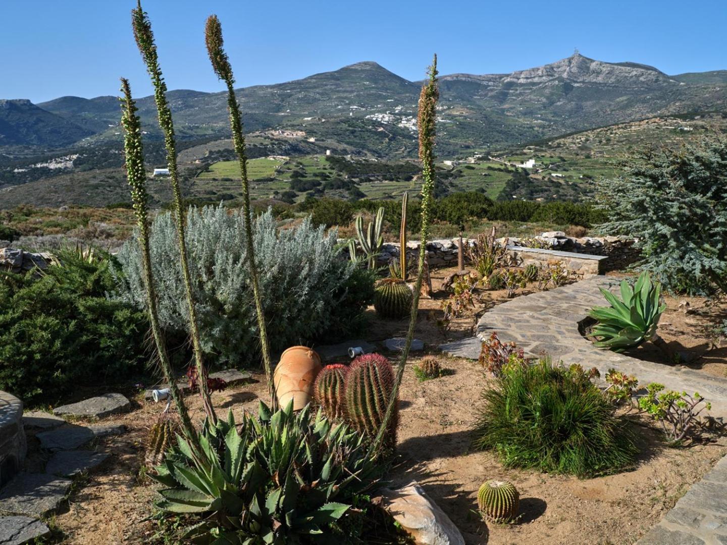 Joy With Private Pool, Close To Naoussa Villa