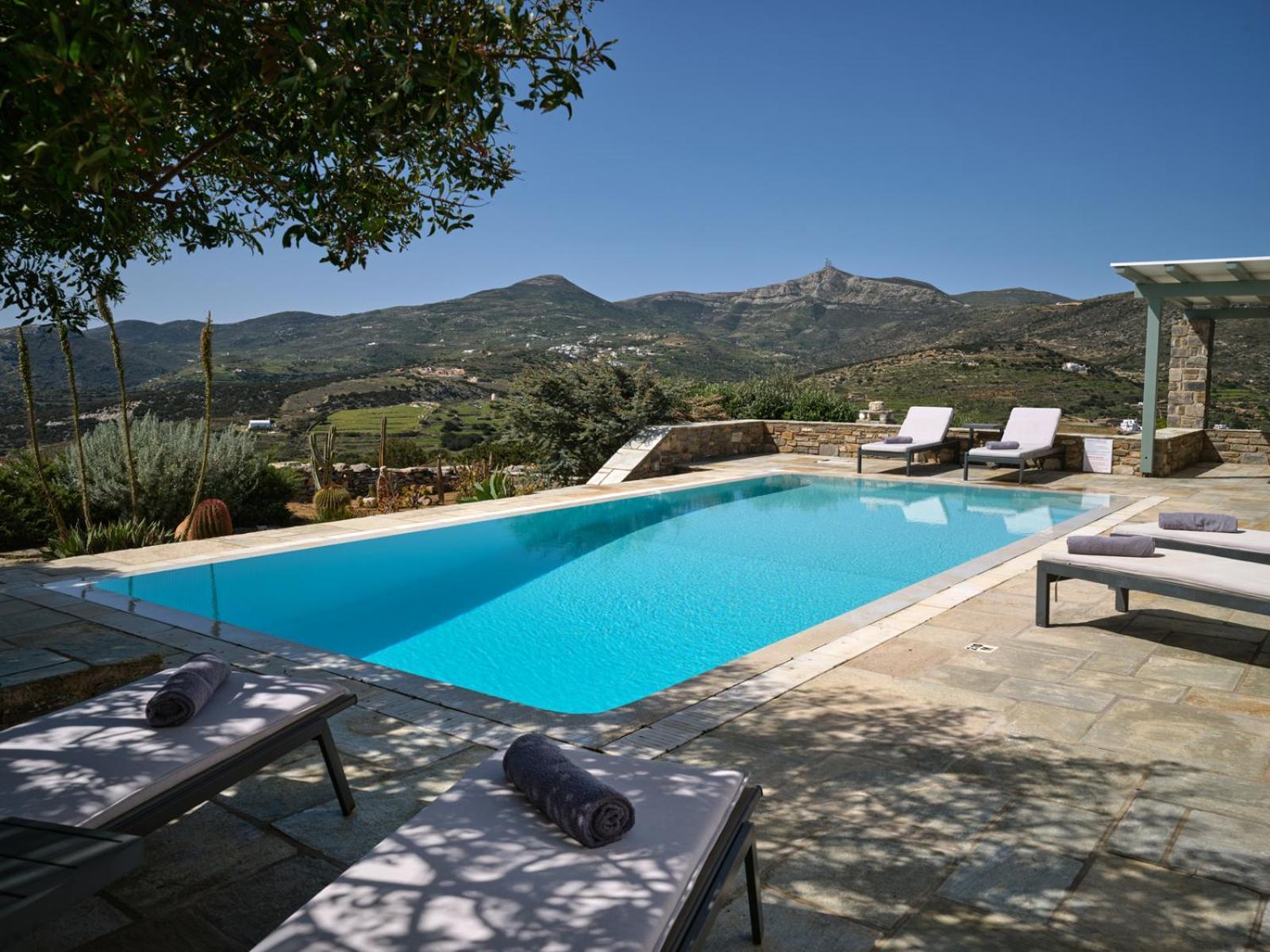 Villa Joy With Private Pool, Close To Naoussa