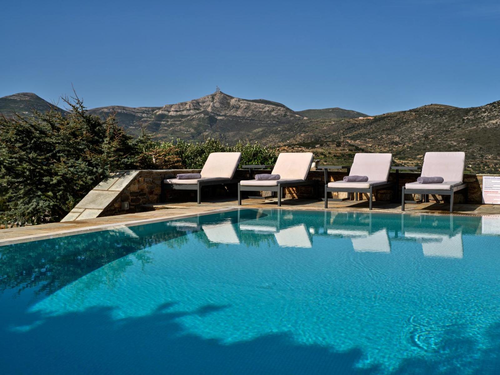Joy With Private Pool, Close To Naoussa Kostos