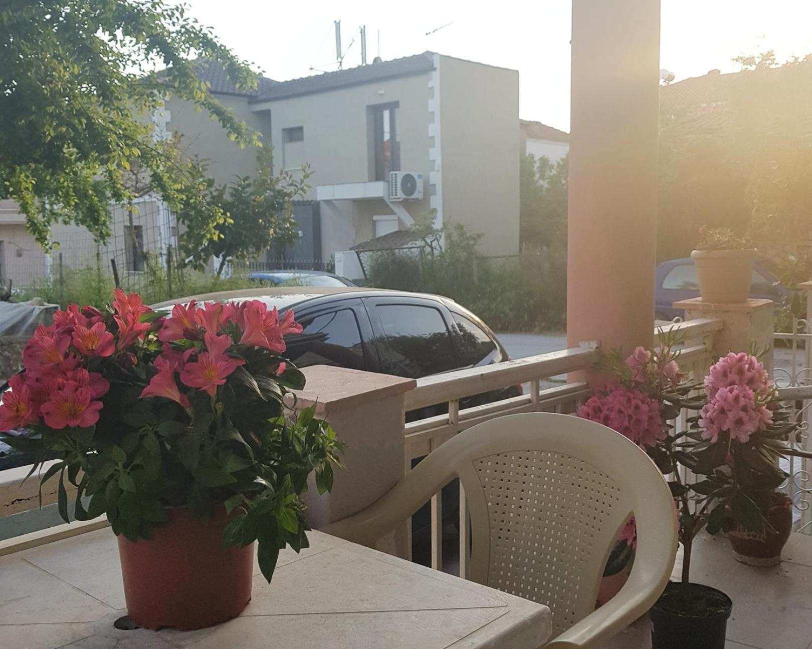Moloha Apartment