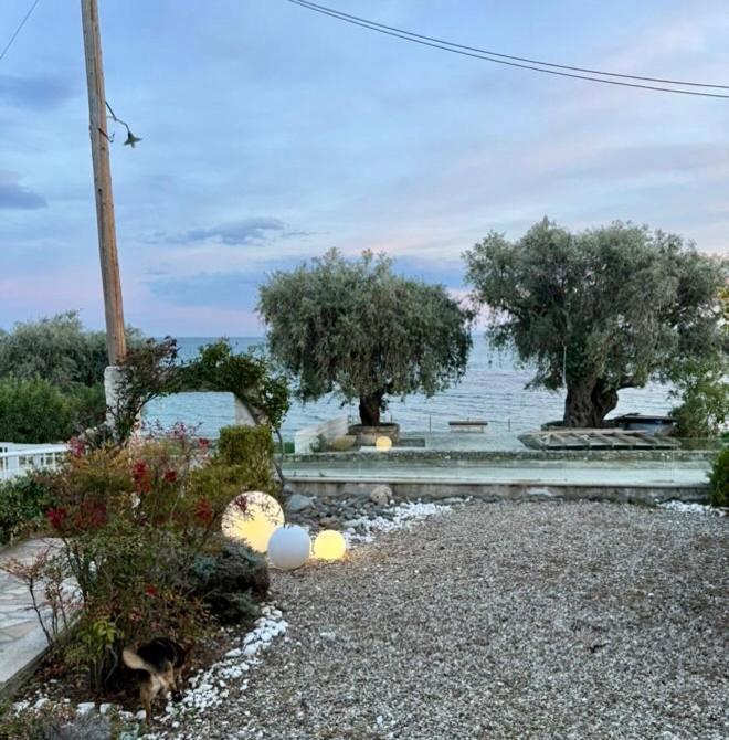 Mara με ιδιωτική παραλία Holiday home