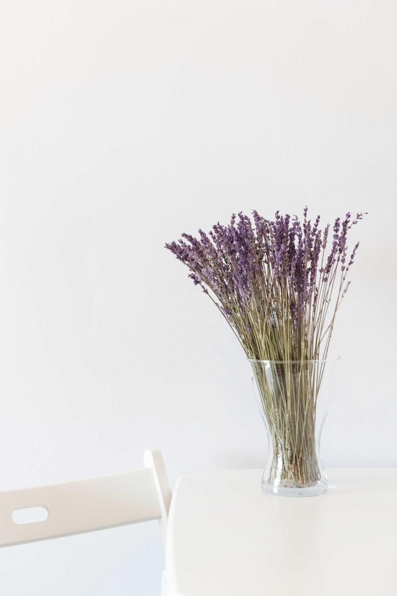 λεβάντα Apartment Lichnaftia