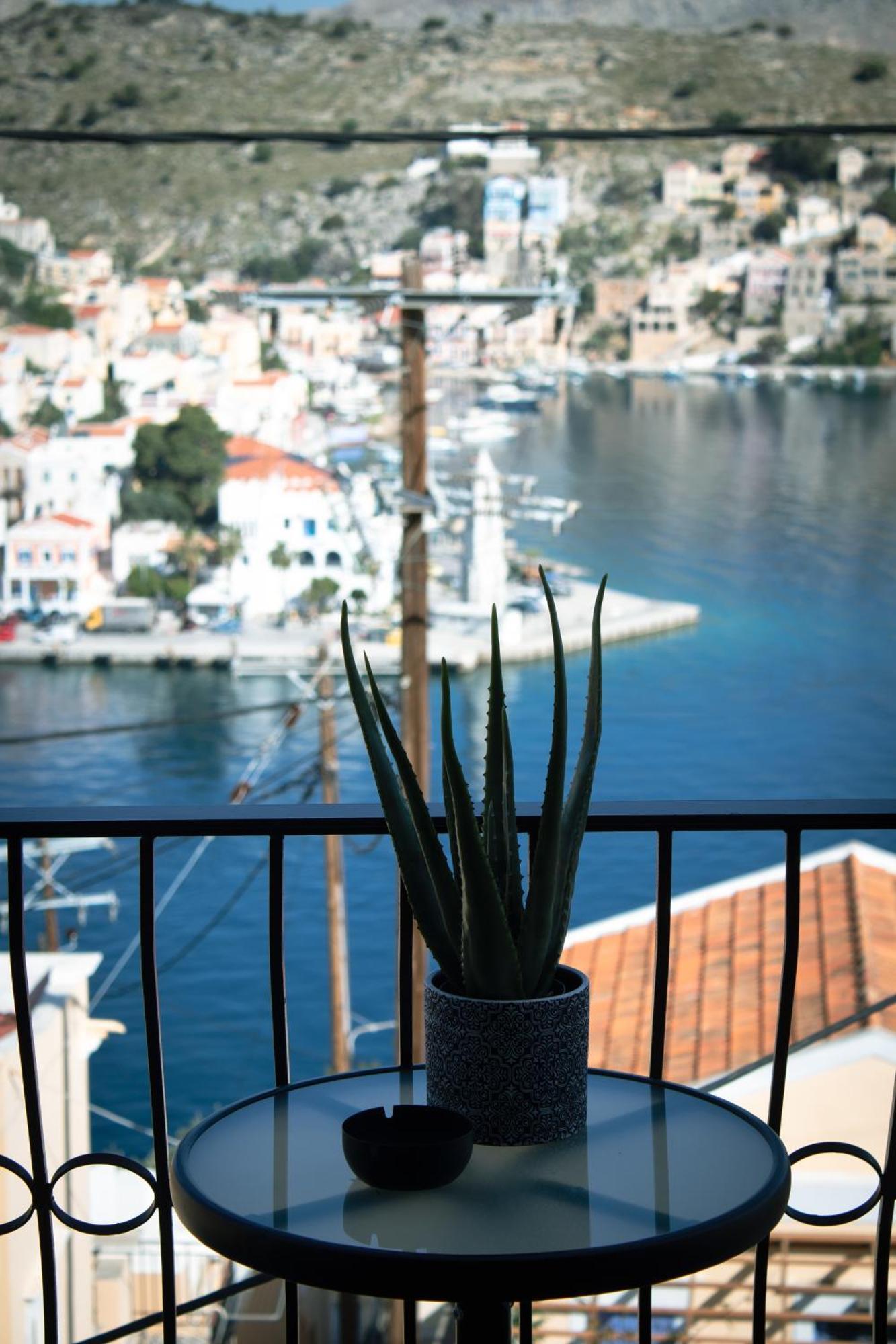 Apartment Duchess Harbour View