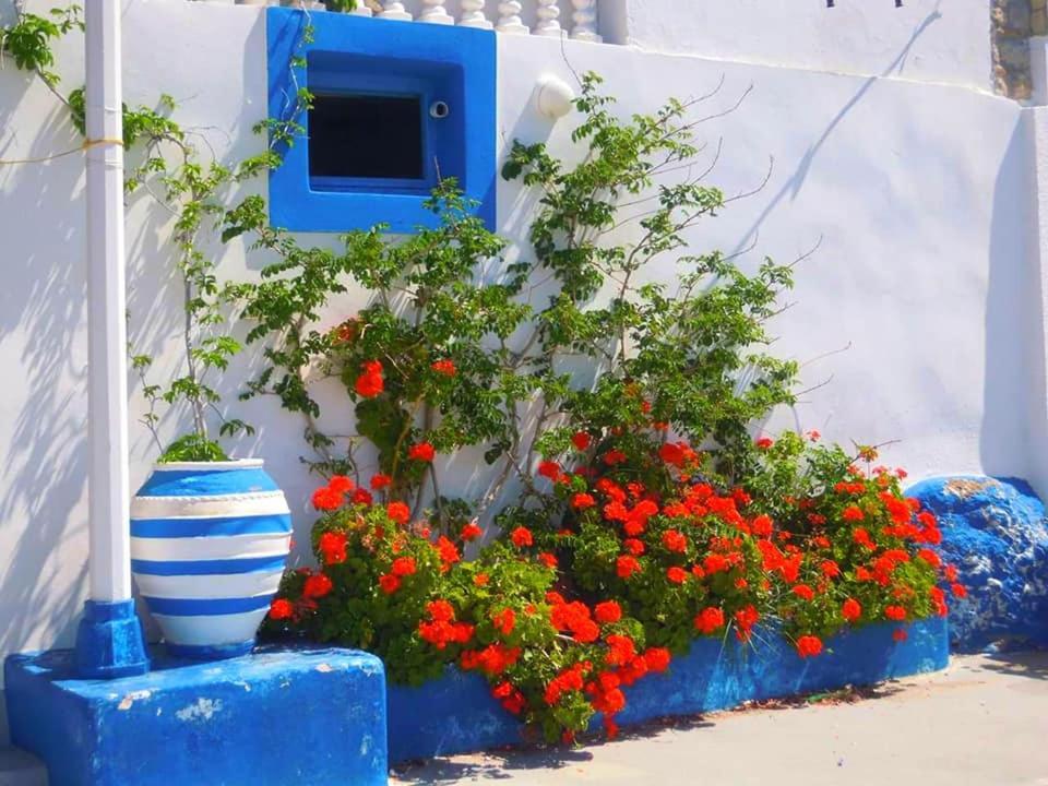 4 Seasons Suites Paradise Near Athens Airport Apartment Markopoulo Mesogaias