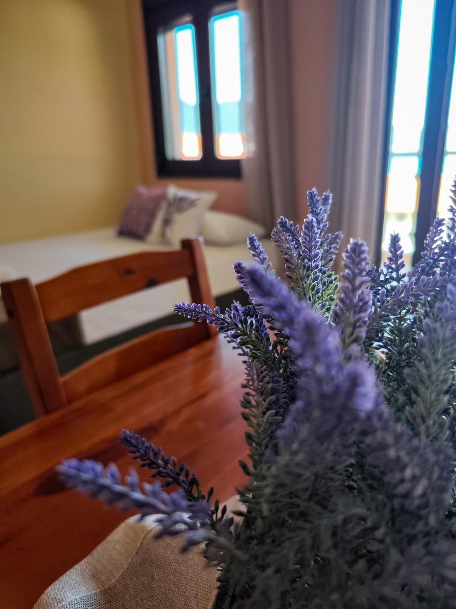 Lavender Aparthotel