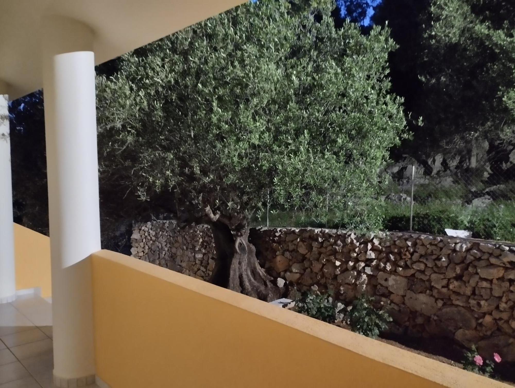 Asteras Argostoli (Kefalonia)