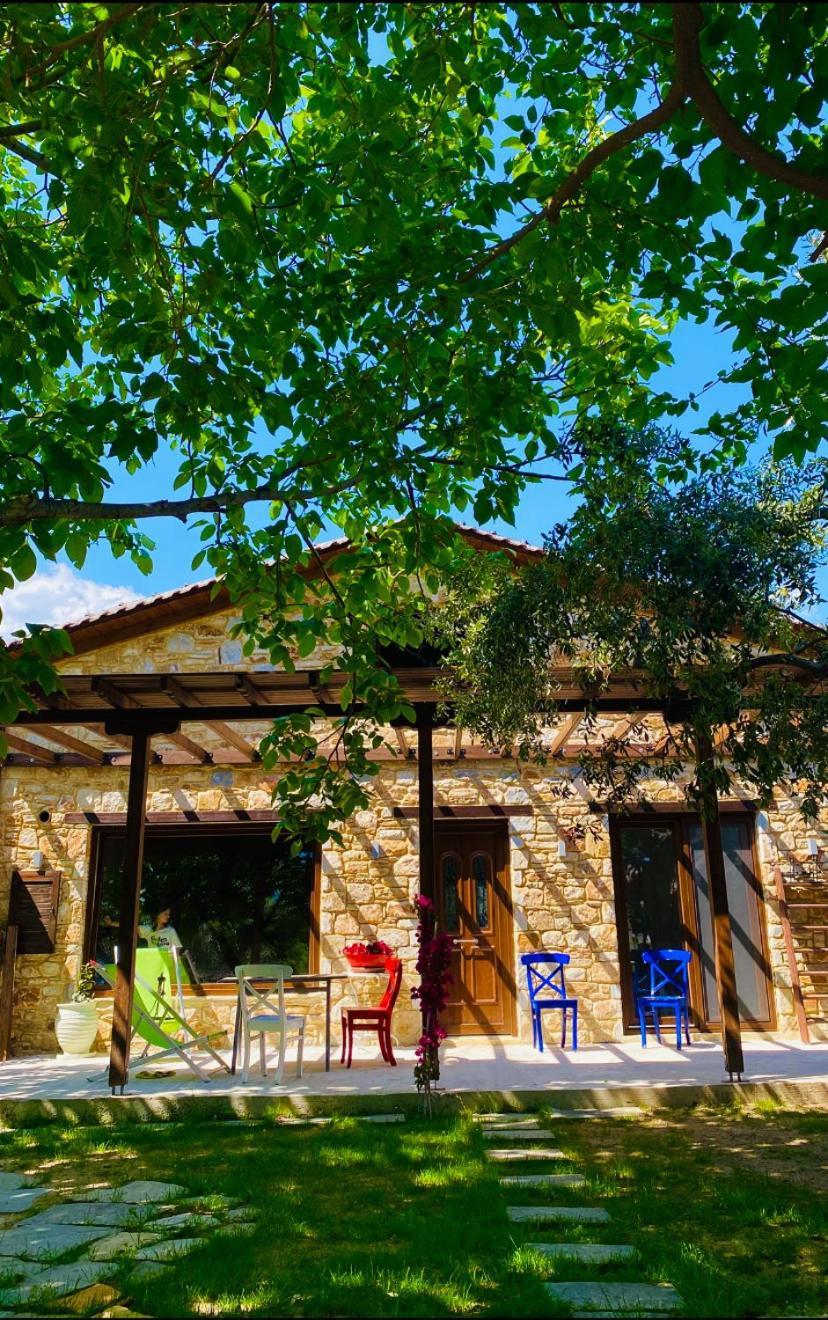 Aggeliki