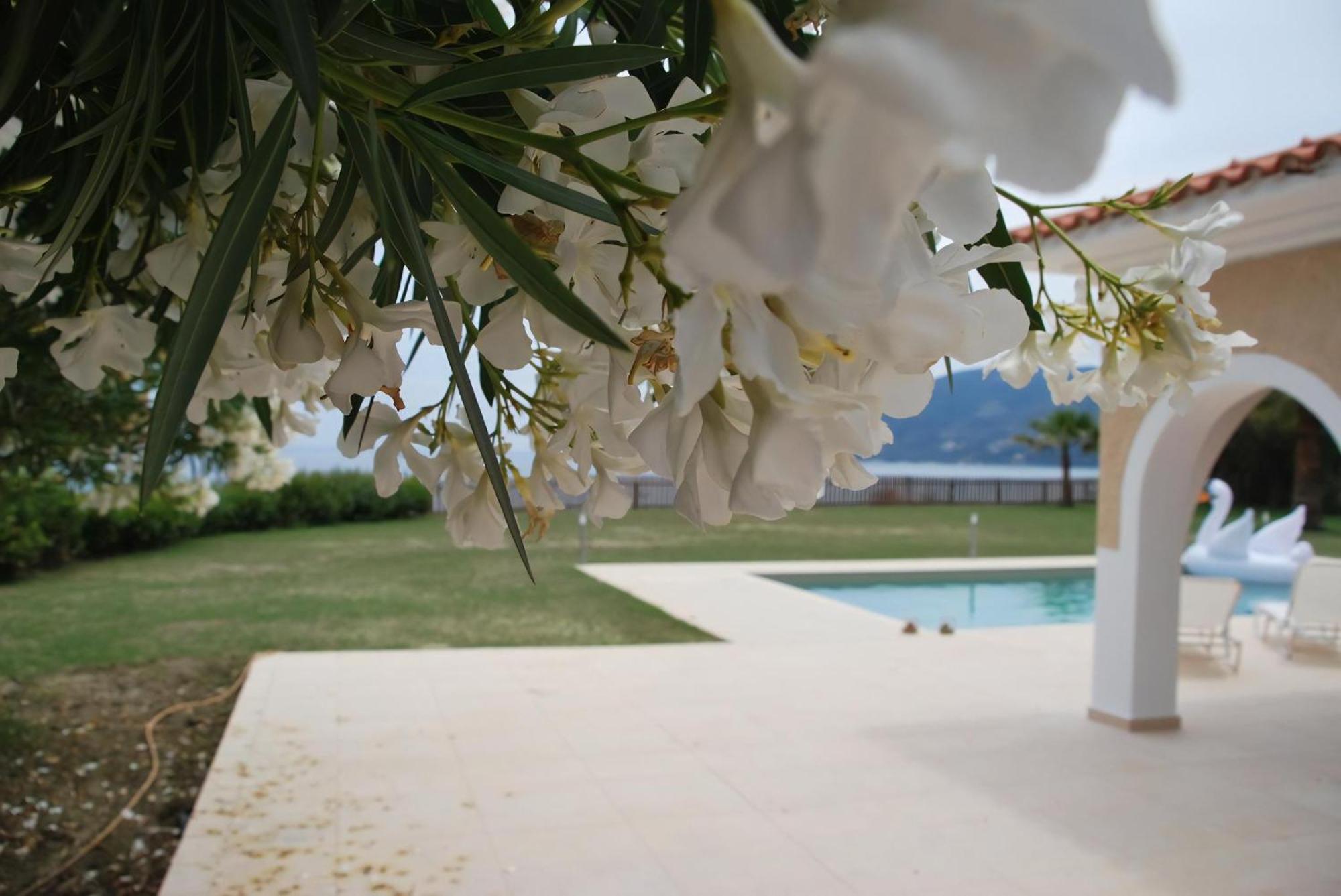 Villa Luxury Zante Zante Vista Private Pool Seaviews Agios Sostis