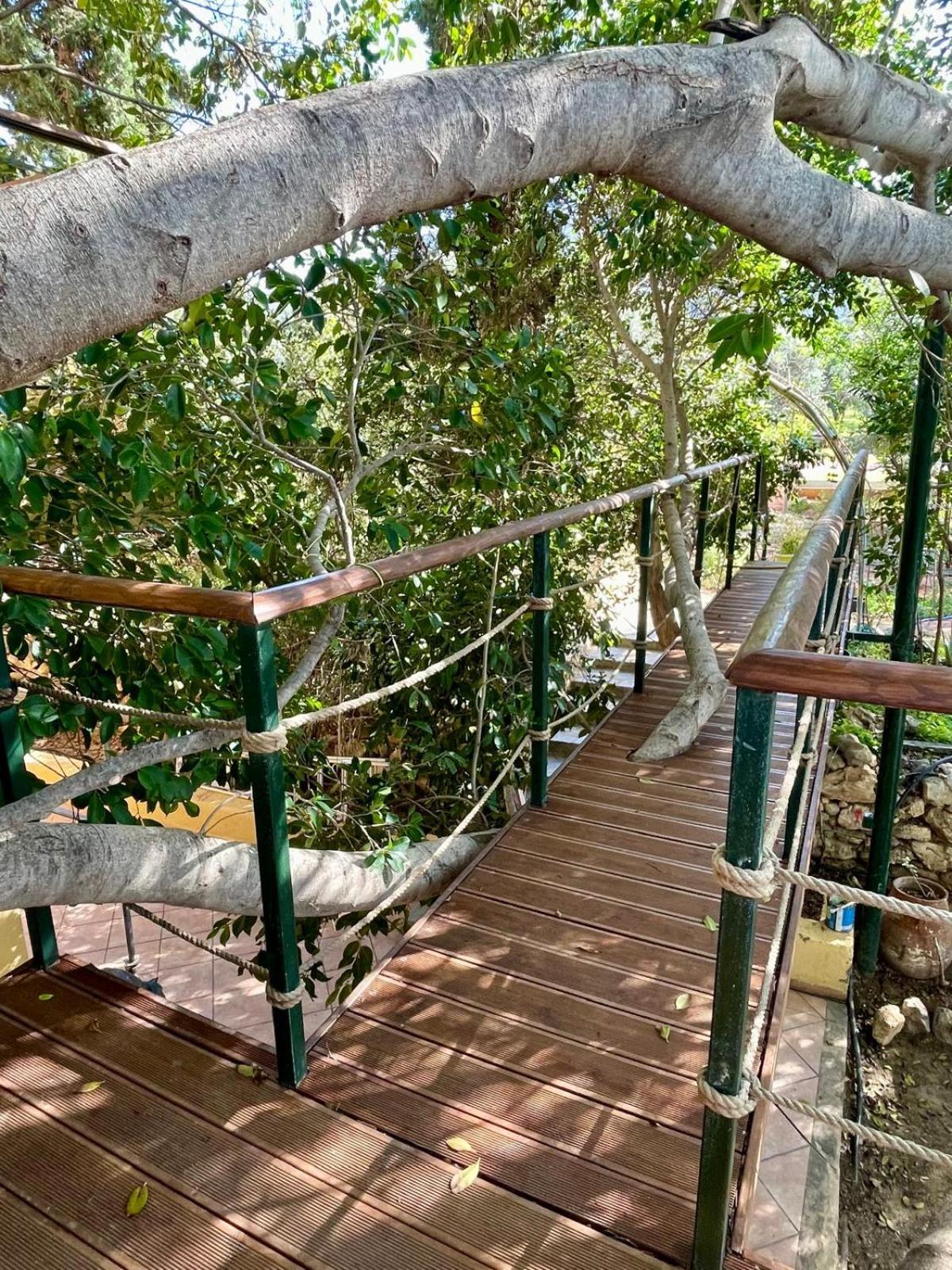 The Secret Treehouse Hersonissos (Crete)
