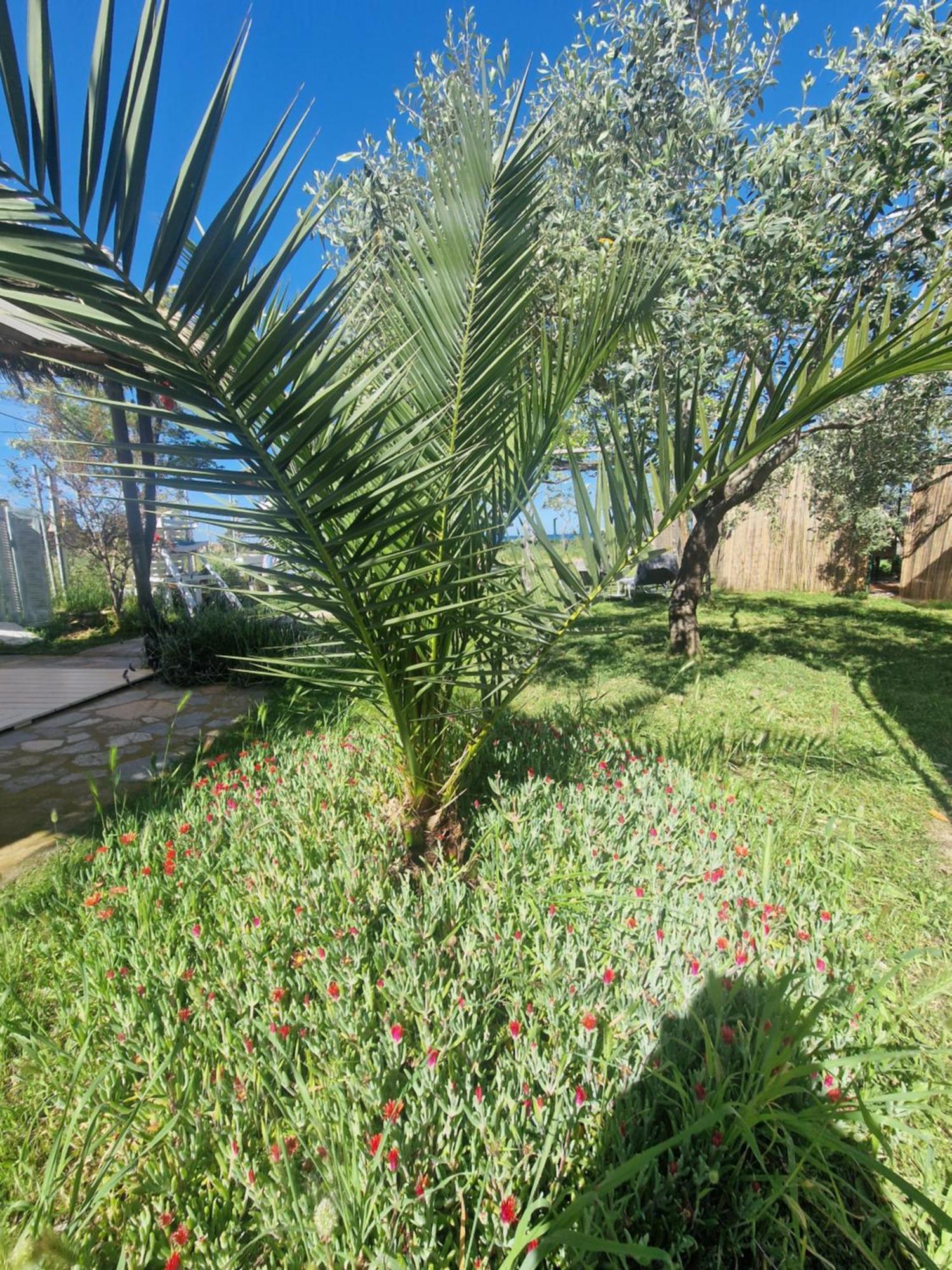 Doukas By The Sea-little Paradise-beachfront Apartment Skala Marion