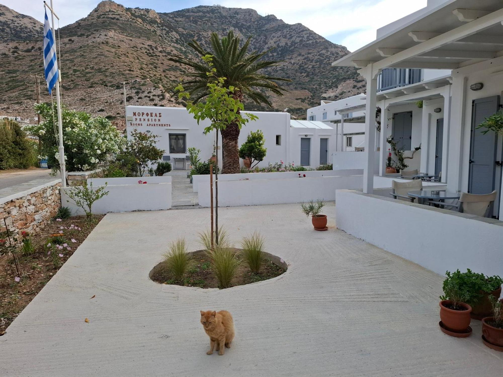 Morpheas & 5* Kamares (Sifnos)