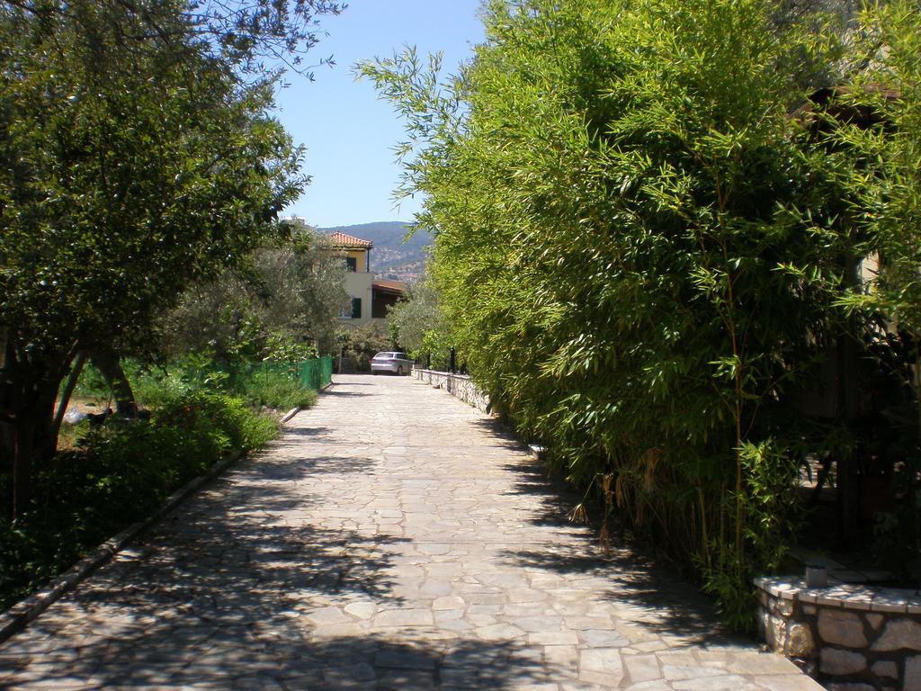 Vasiliki * Petra (Lesbos)