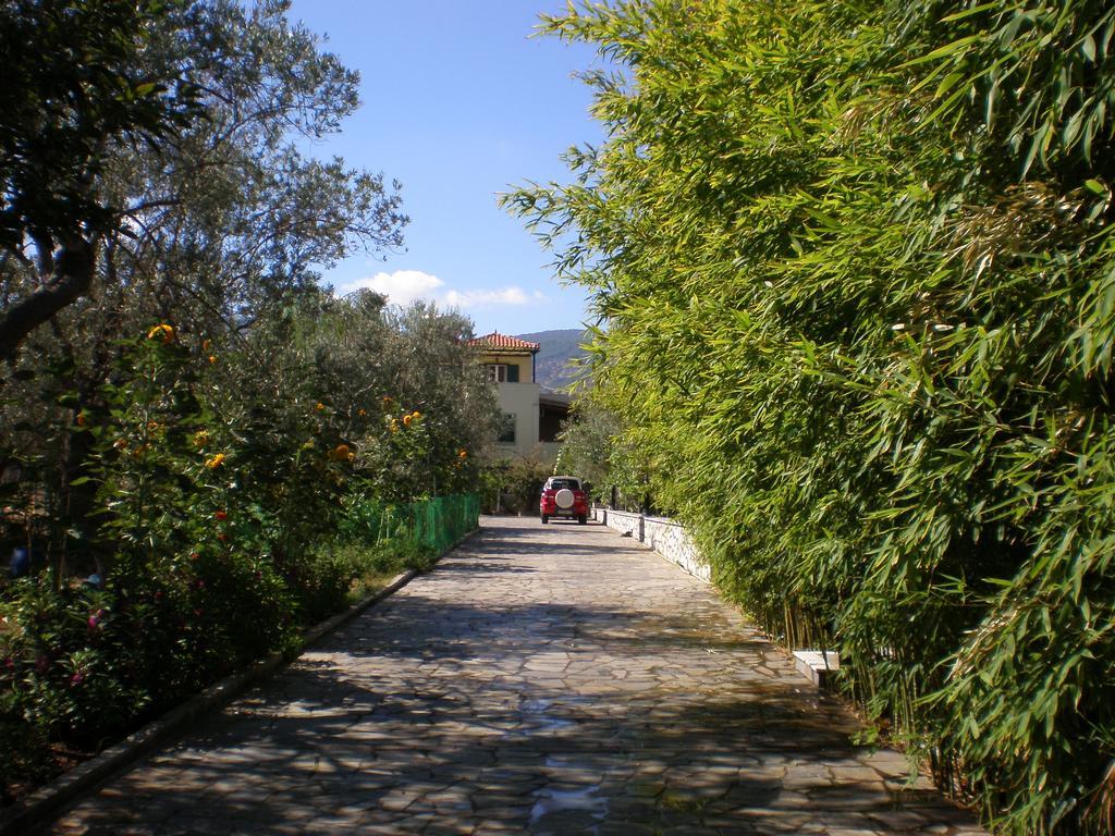 Vasiliki Apartment