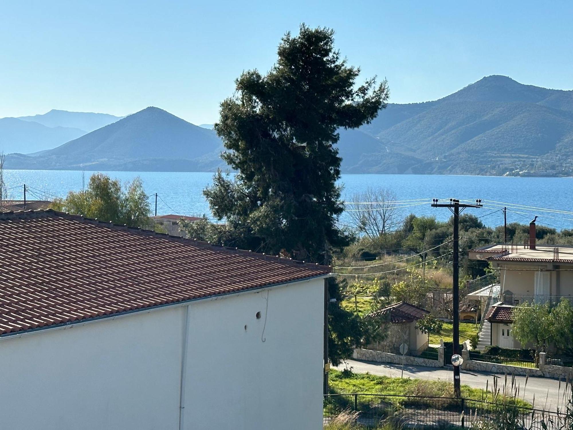Vassiliki *