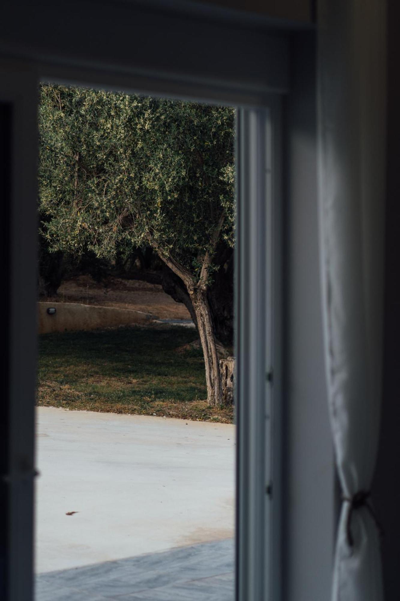Apartment Blue Waves Luxury Suites By The Sea Plomari