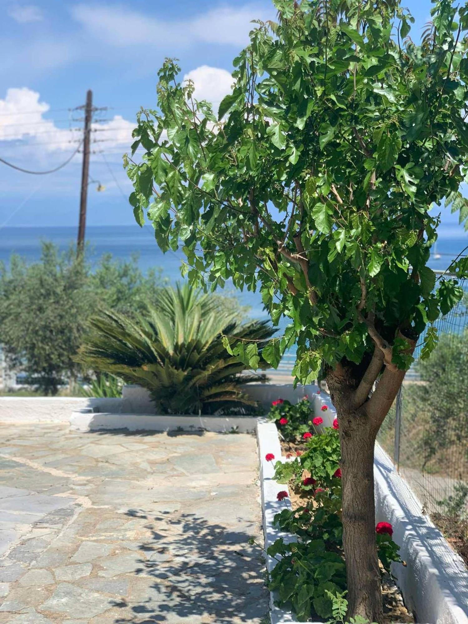 Apartment Artaki R Koroni (Messinia)
