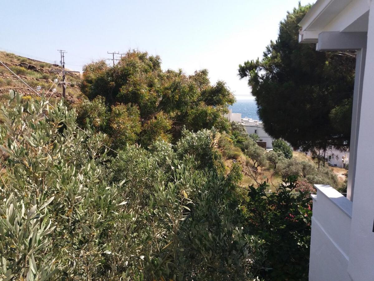 Grandpa Simos' Traditional Agios Romanos