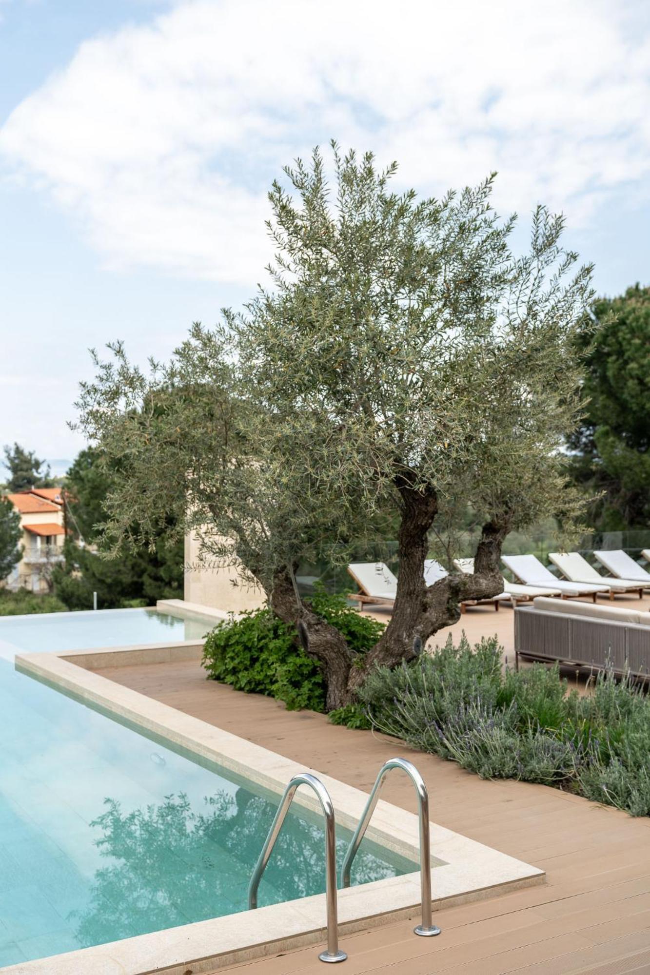 Villa Mare Halkidiki