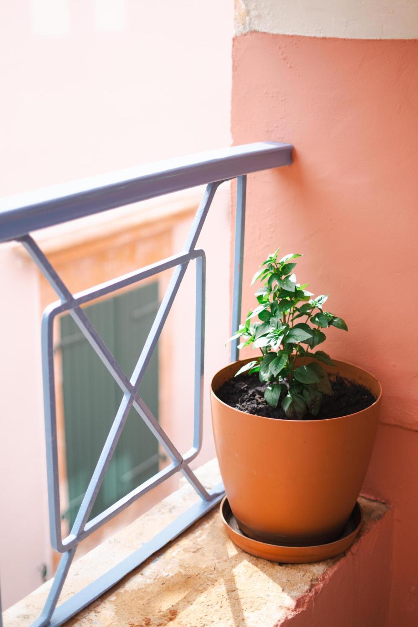 Authentic In Fiscardo Apartment