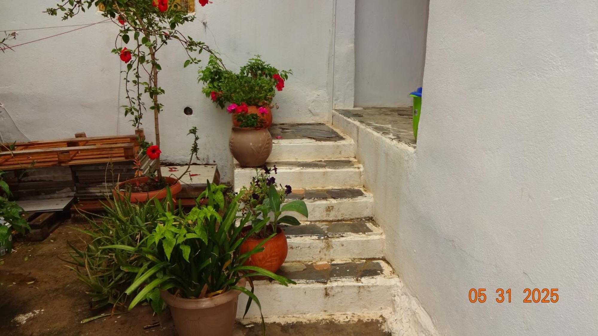 Guest house Scirocco Loutro