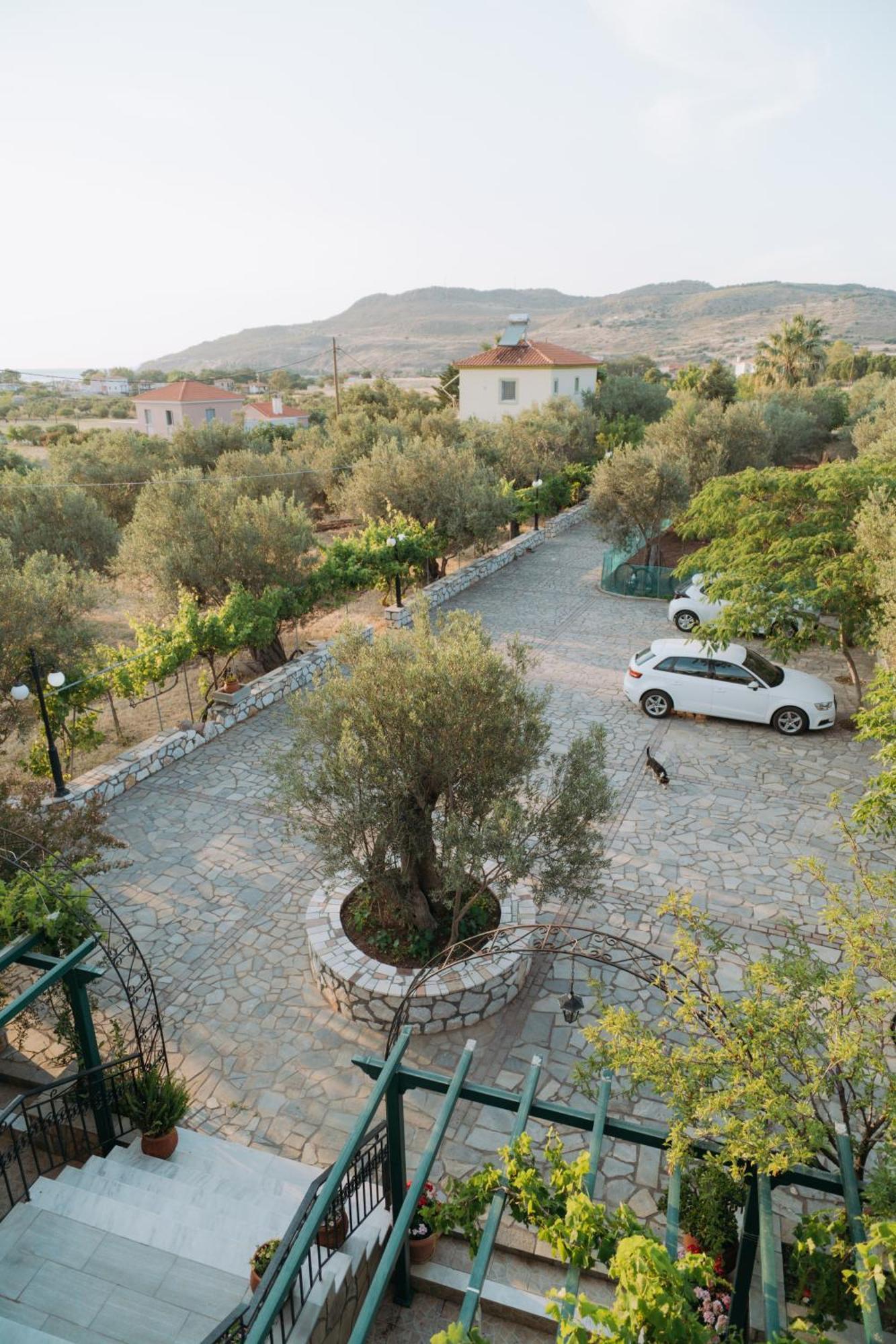 Apartment Vasiliki