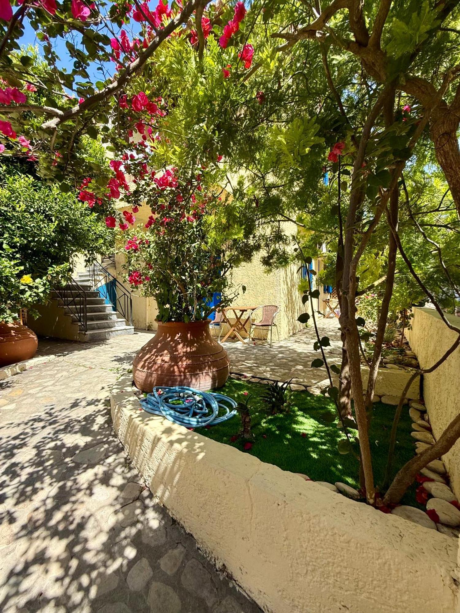 Apartment Jimmy's Place Ormos (Samos)