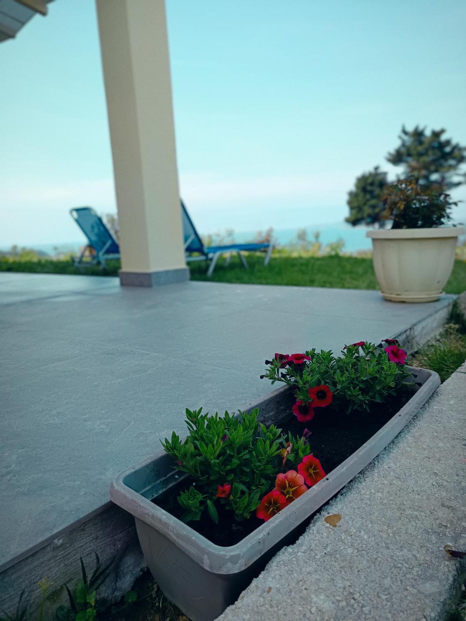 Panorama View Guest house *
