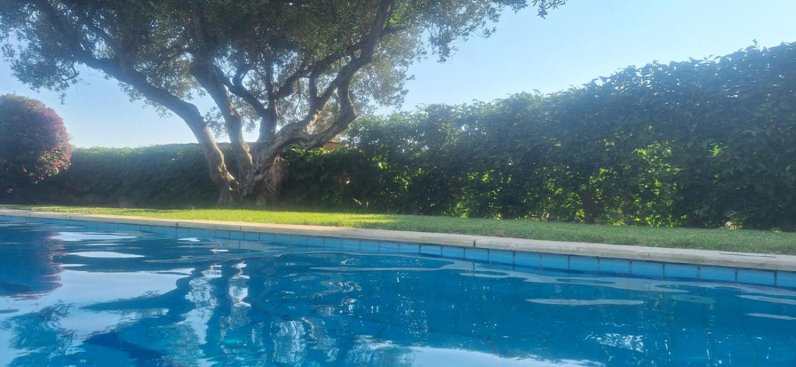 Sea View Manolis With Private Pool Near The Villa Kalyves