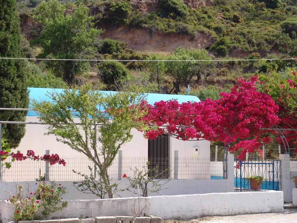 Apartment Spring Kefalos (Kos)