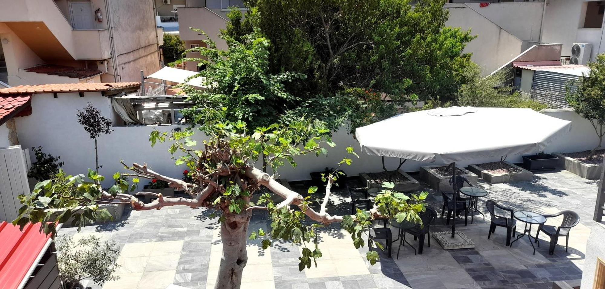 Johny's * Kallithea (Chalkidiki)
