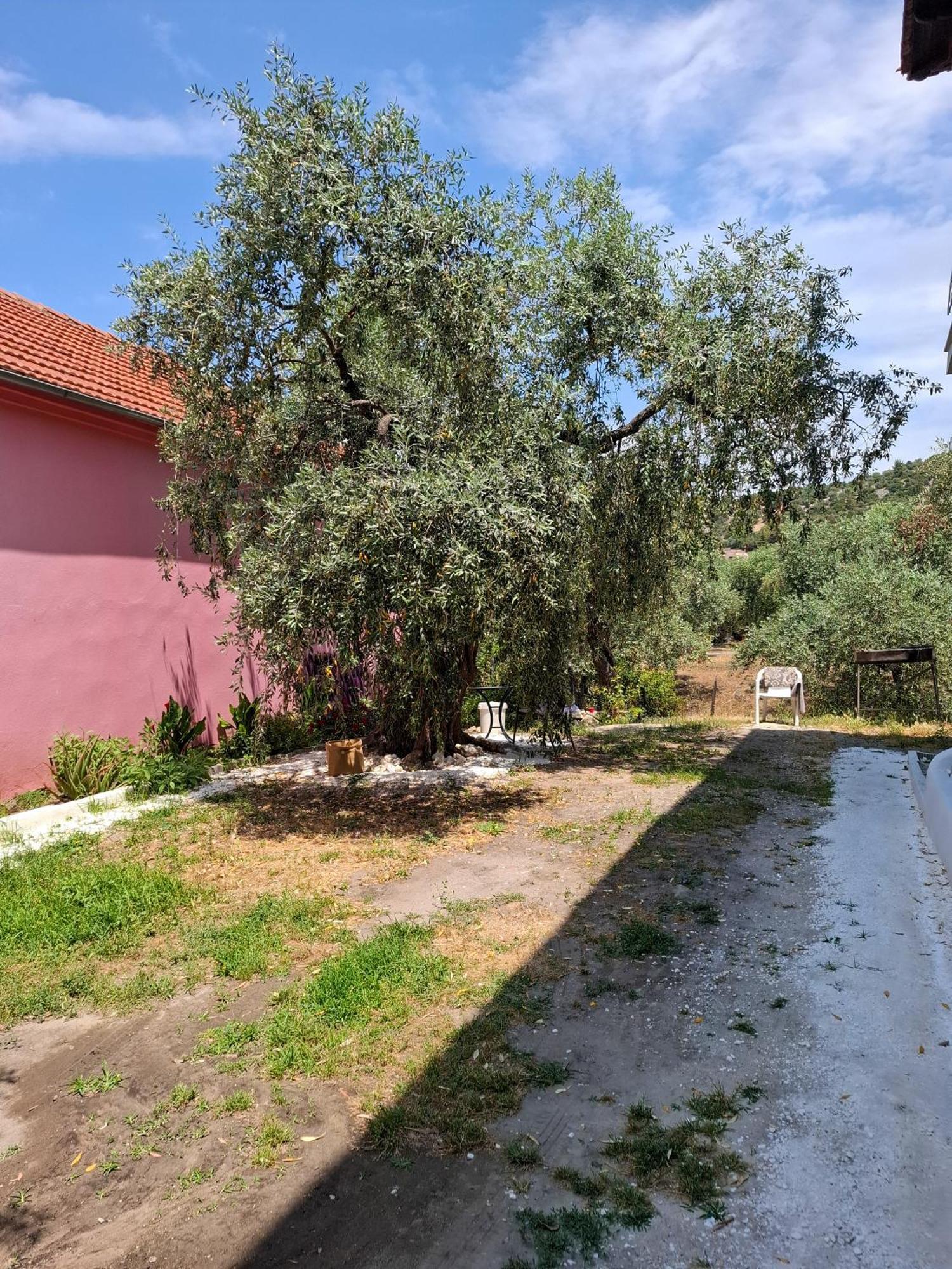 Apartment Elia Thassos