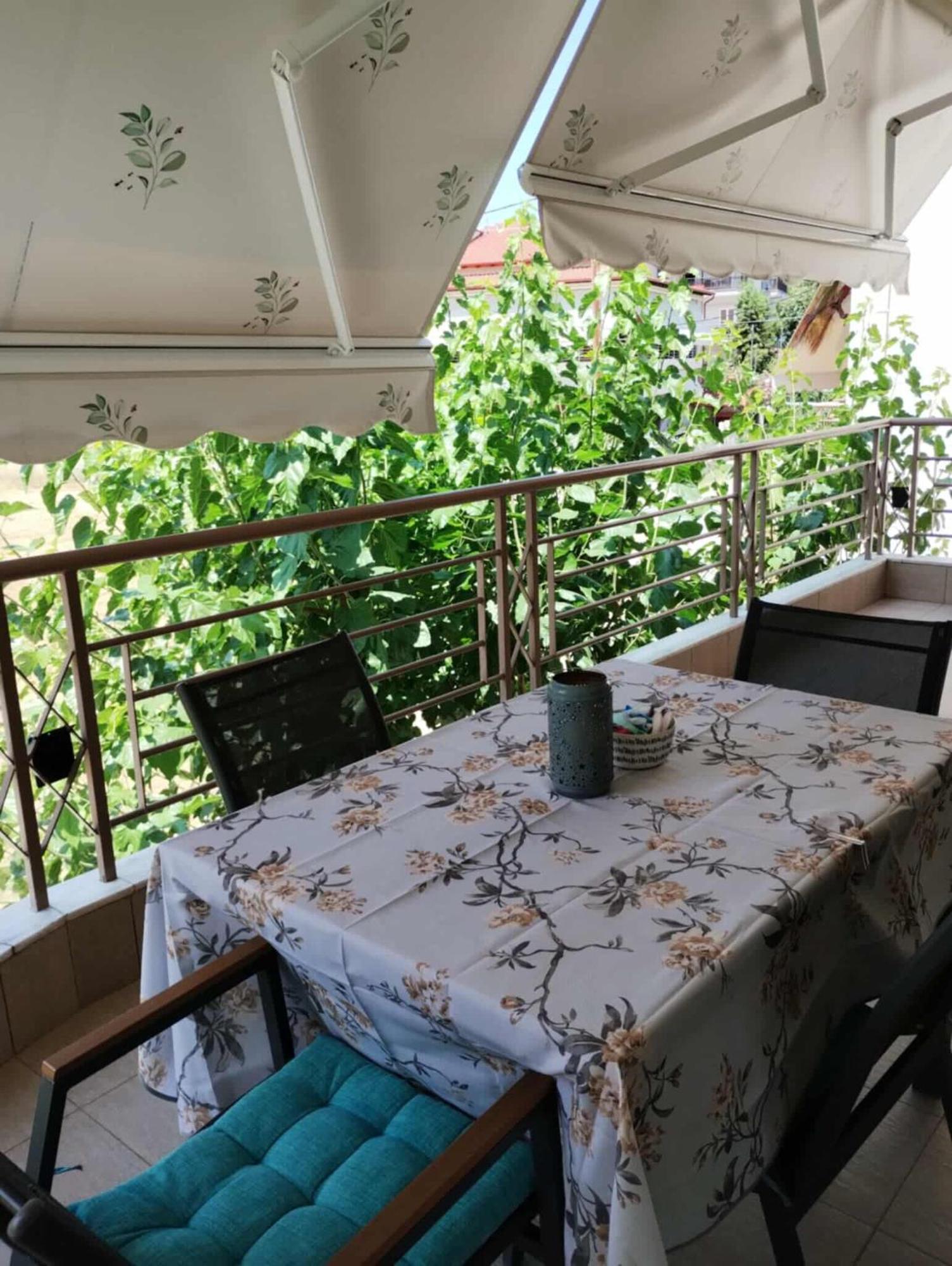 Avellana Luxury
