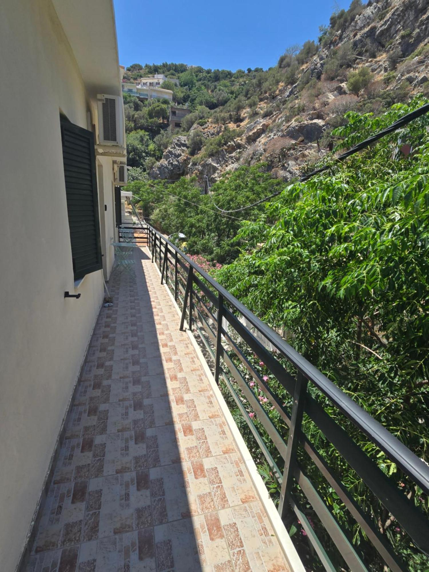 Icthyoessa * Agios Kirykos (Ikaria)