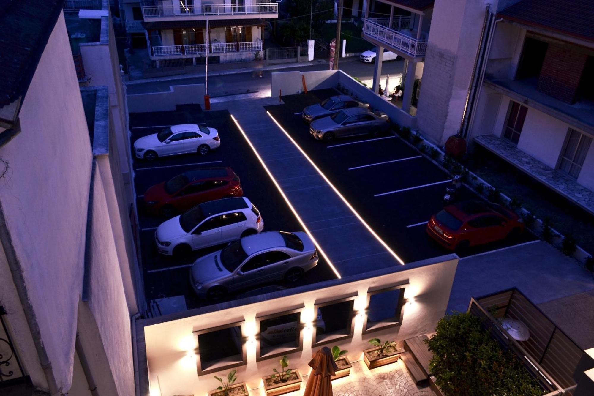 Corylus Luxury &