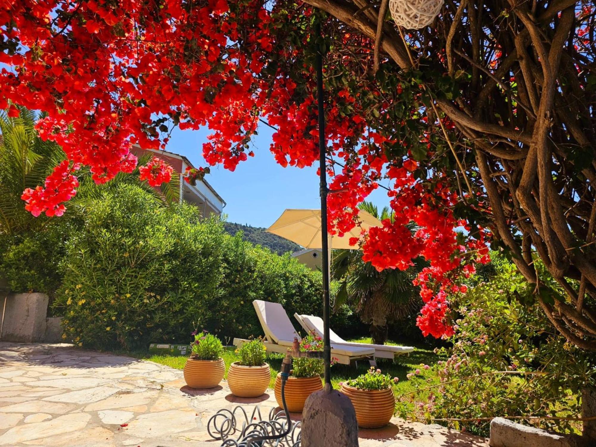 Corfu Dream Holidays *