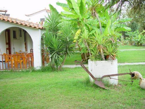 Banana Place