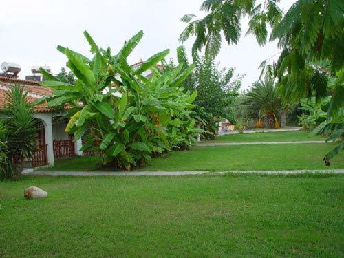 Banana Place 2* Zacharo
