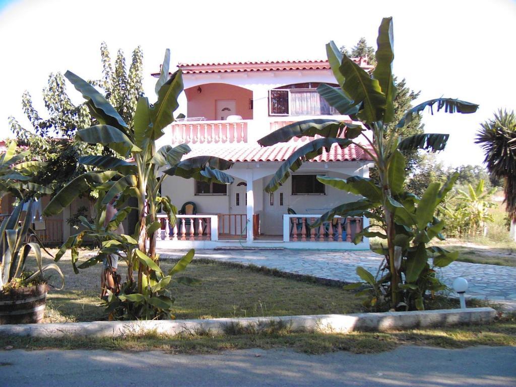 Banana Place 2*