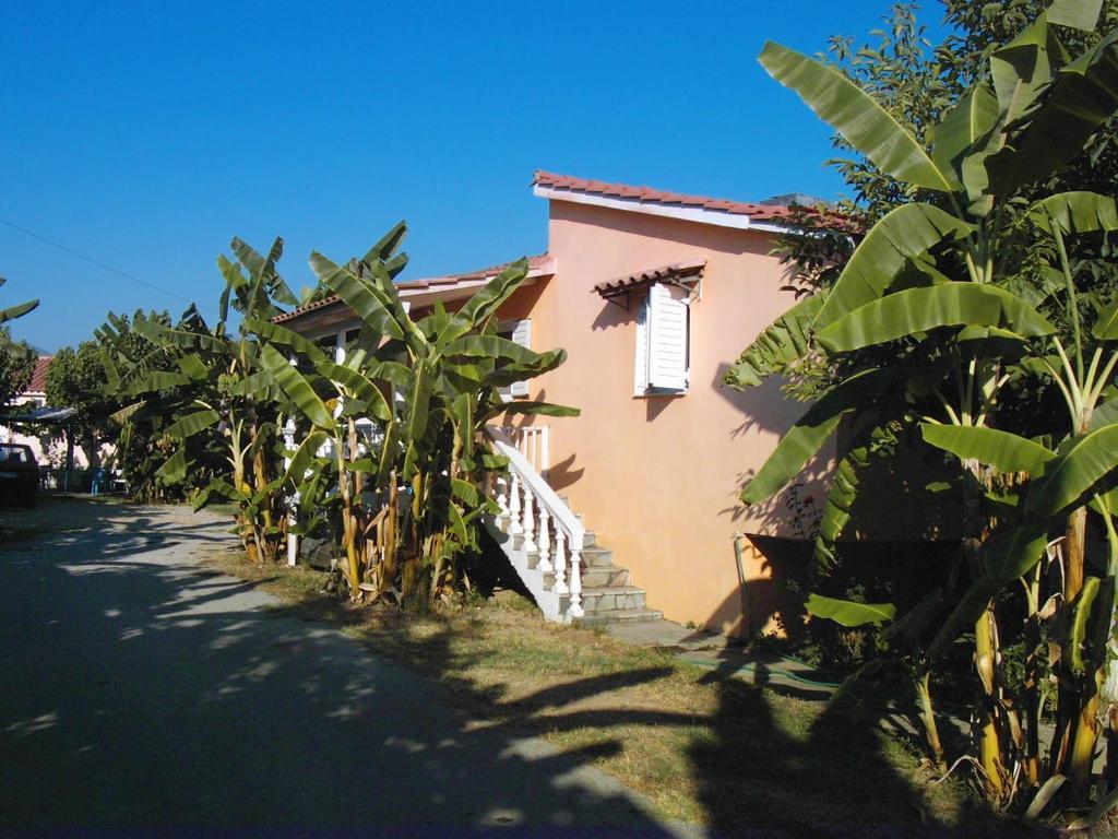 Banana Place Zacharo