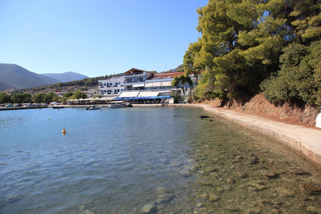 Mike Epidaurus