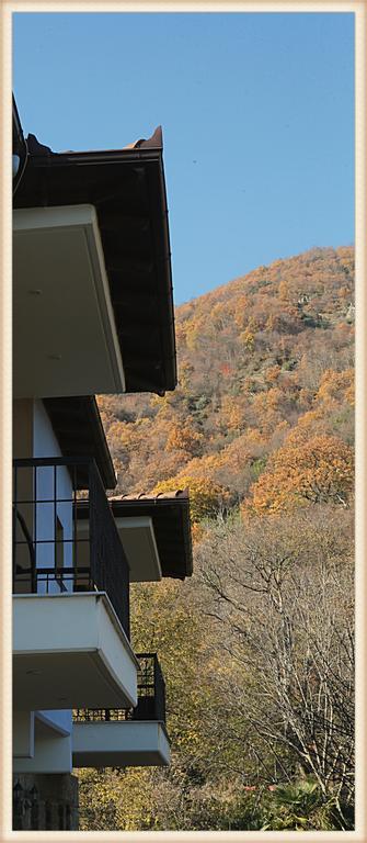 Hotel Voreas 3*