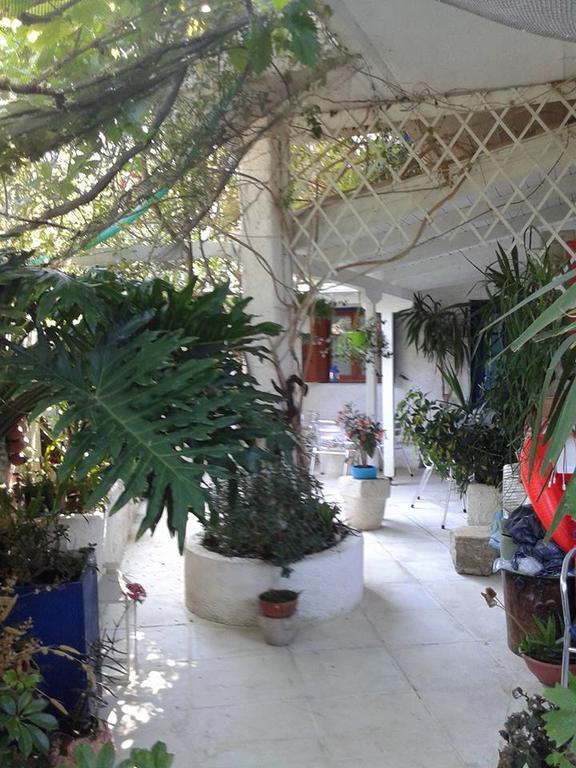 Mistral Aparthotel *