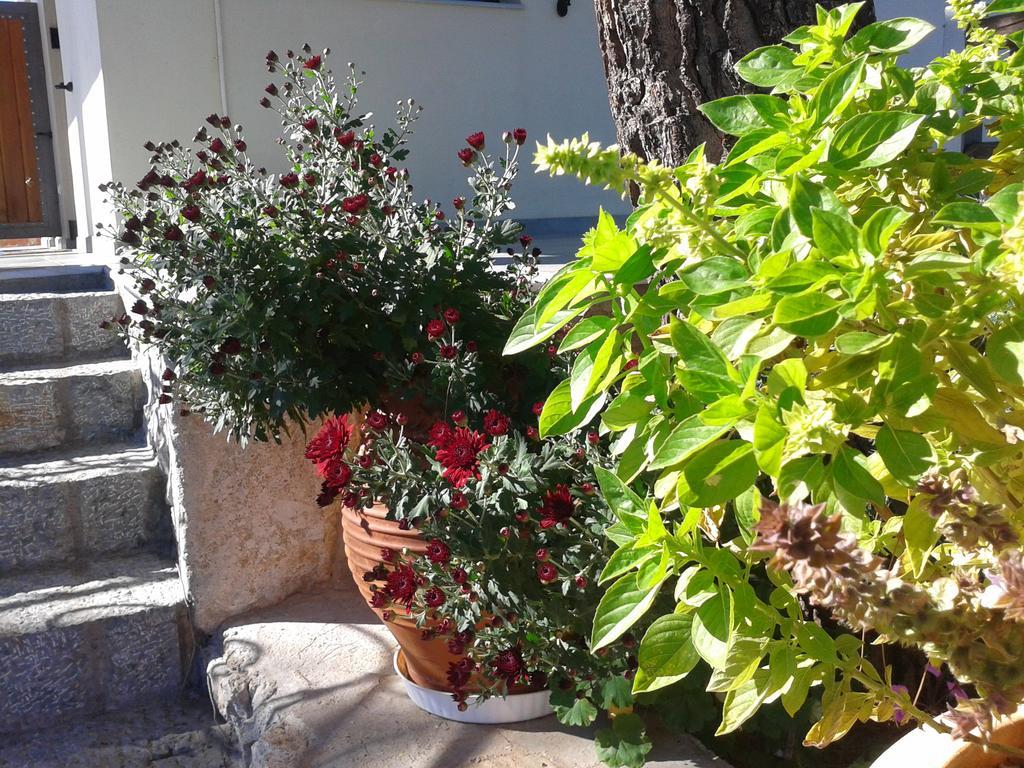 Niriides