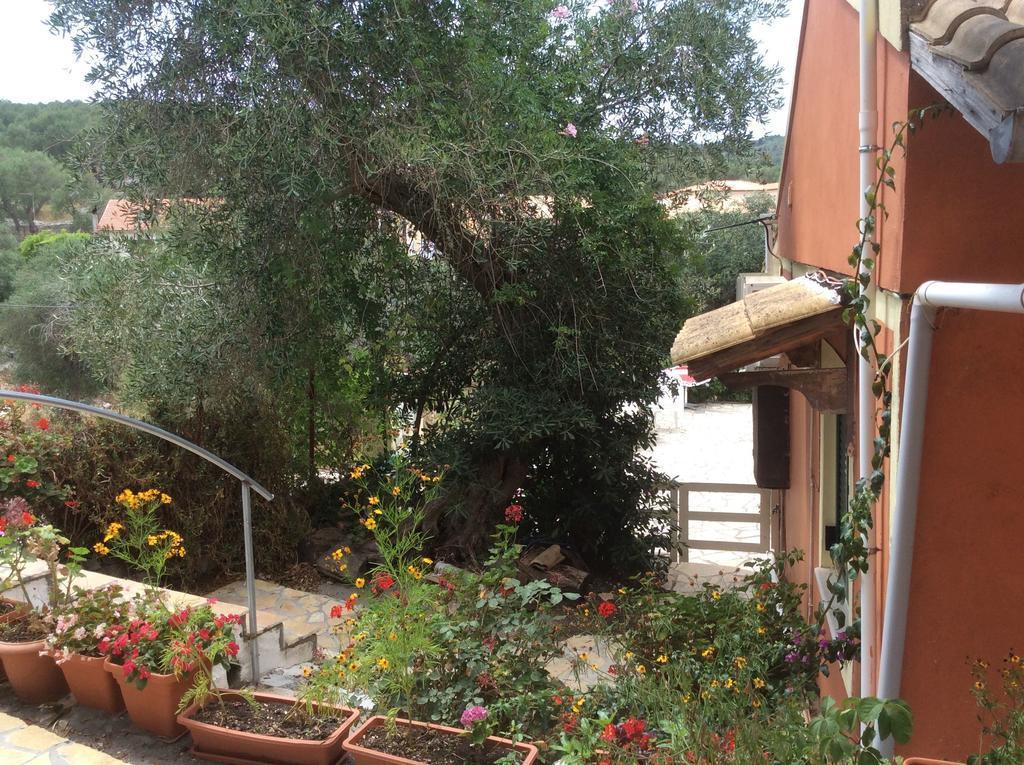 Paxos Bonzai Gaios