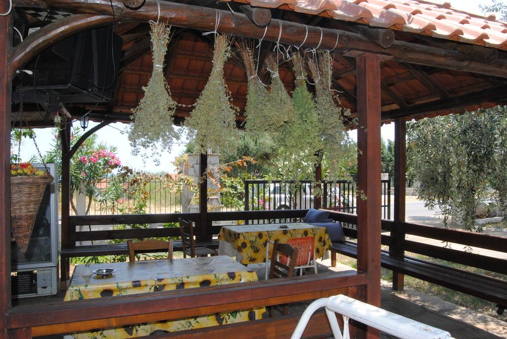 Alba Studio Thassos Koinira